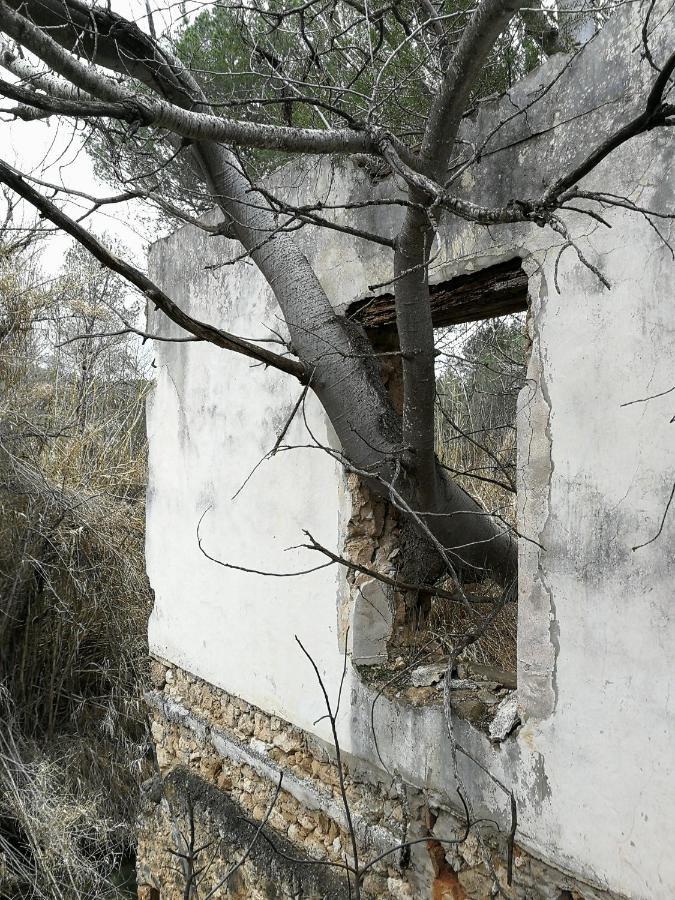 Casa Rural Rio Cabriel Villamalea Экстерьер фото
